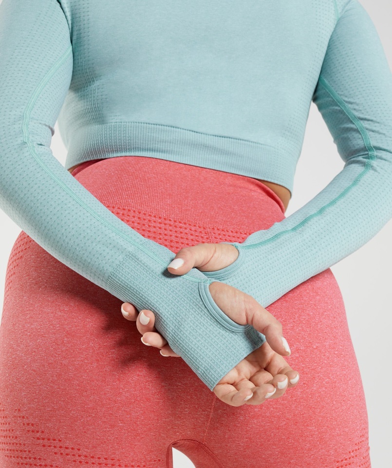 Crop Top Gymshark Vital Seamless 2.0 Azul Perla Jaspeado