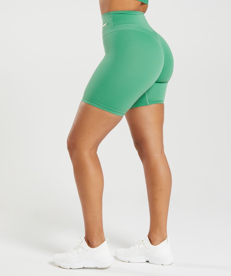 Culote De Ciclista Gymshark Whitney Verde Palma
