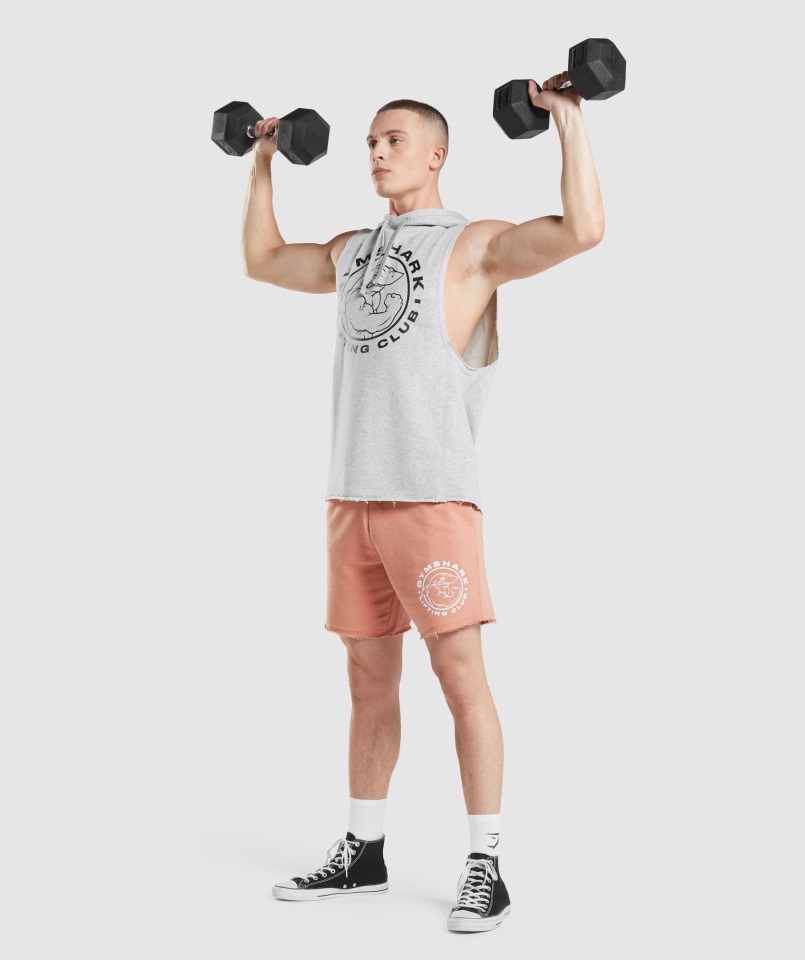 Sudadera Con Capucha Legacy Drop Arm Gris Claro Core Marl Gymshark