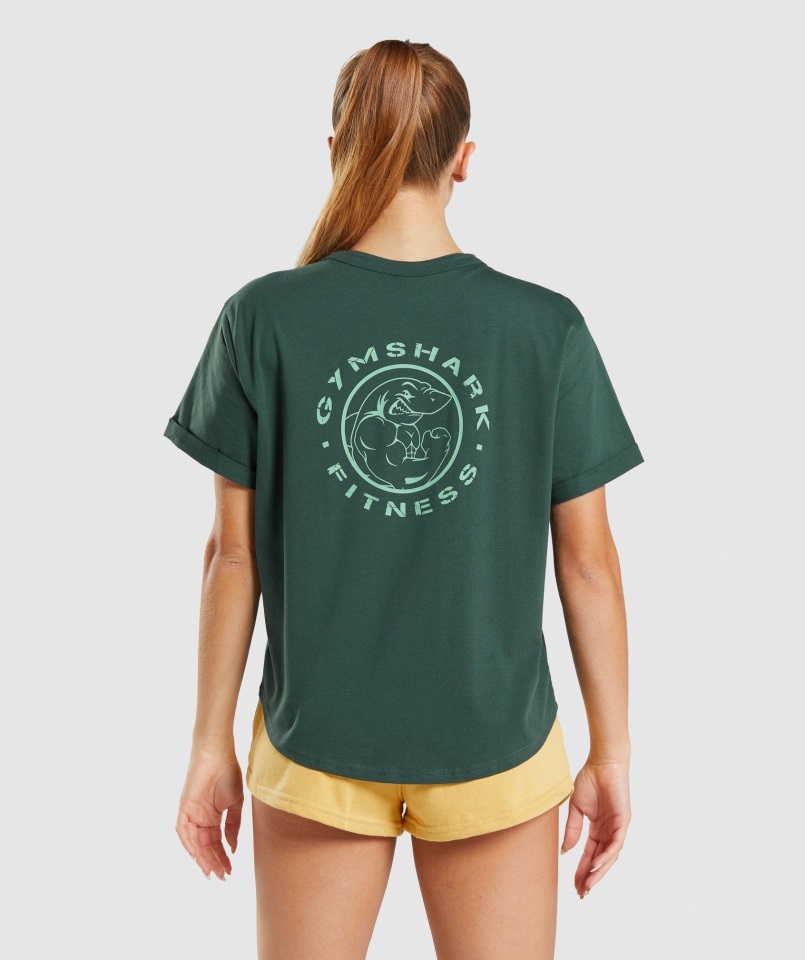 Camiseta Con Gráfico Heredado Gymshark Verde Oscuro