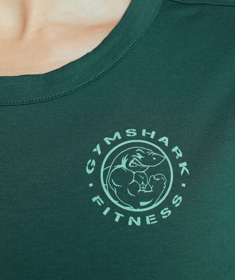Camiseta Con Gráfico Heredado Gymshark Verde Oscuro
