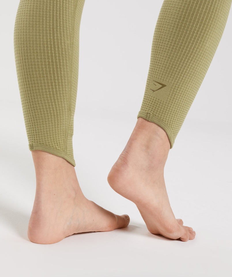 Pausa Leggins Sin Costura Griffin Verde Gymshark