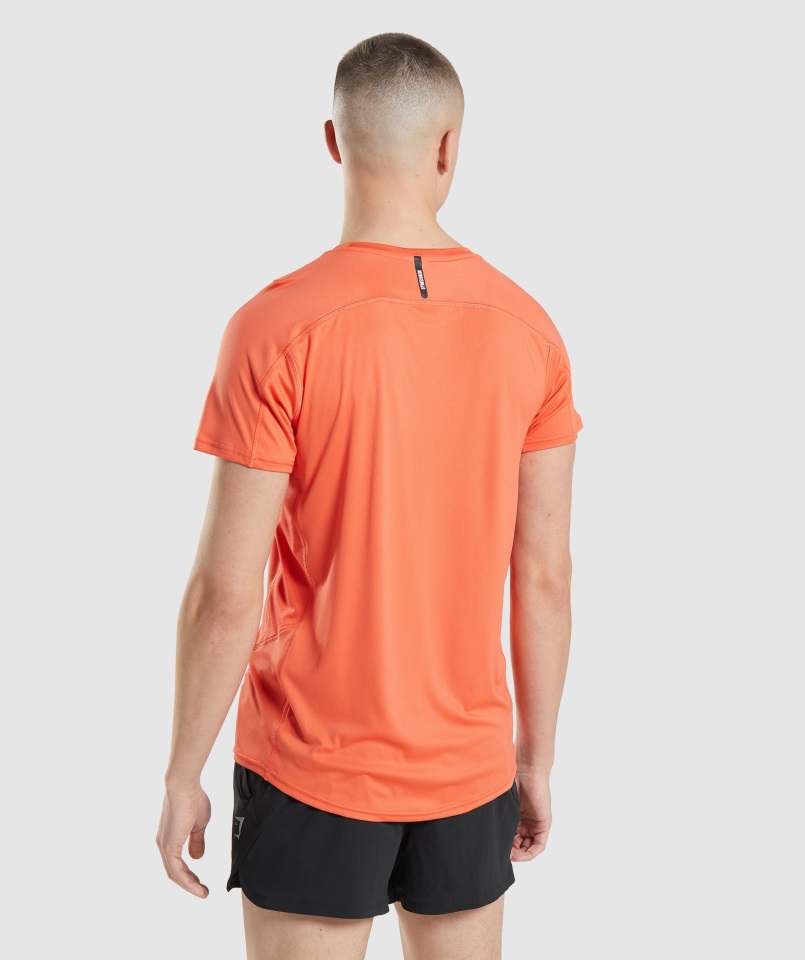 Velocidad Evolucionar Camiseta Papaya Naranja Gymshark