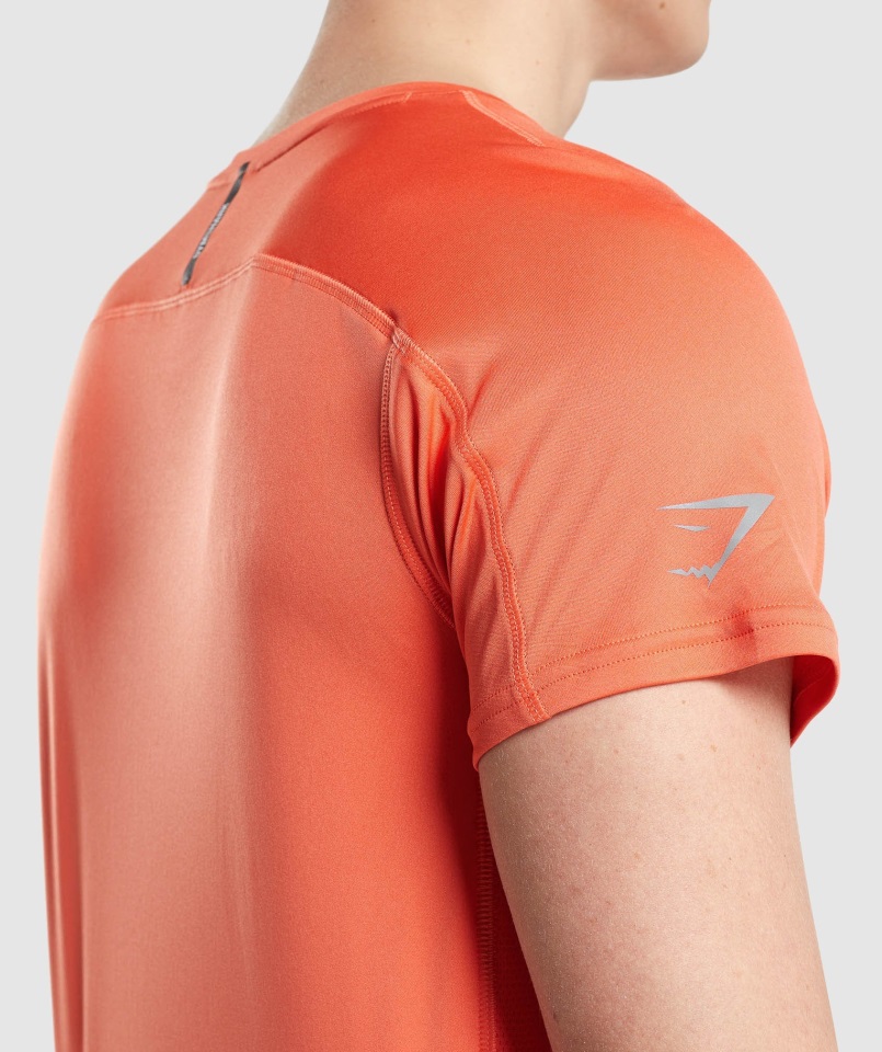 Velocidad Evolucionar Camiseta Papaya Naranja Gymshark