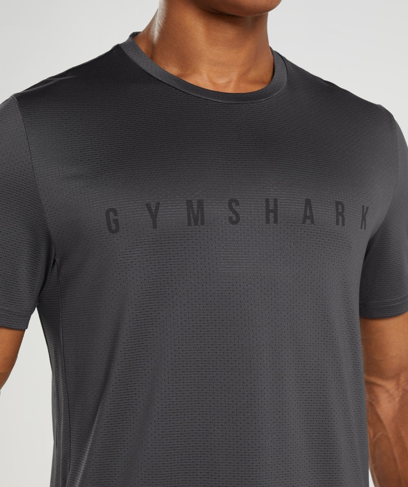 Camiseta Sport Stripe Gris ónix Gymshark